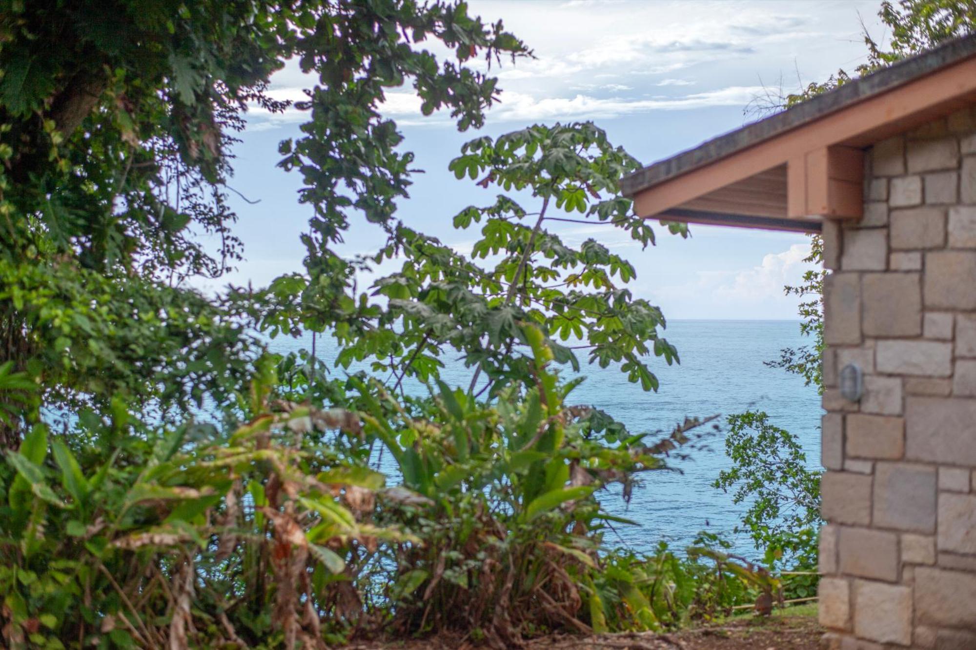 Frenchman'S Cove Resort Port Antonio Exteriér fotografie