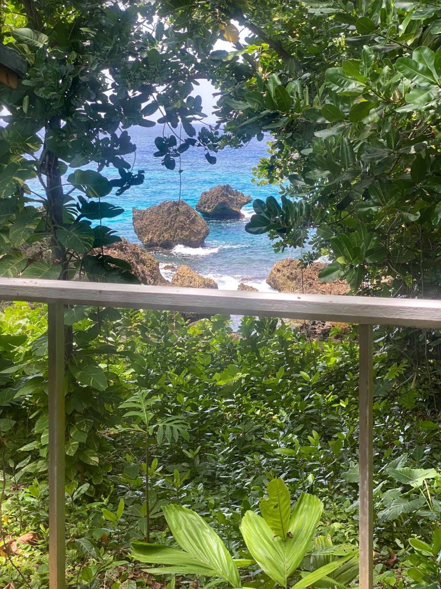 Frenchman'S Cove Resort Port Antonio Exteriér fotografie